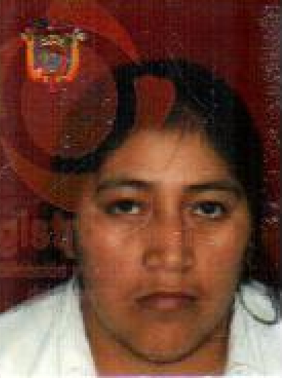 PIMA COUNTY MISSING MIGRANT PROJECT(McAllen, TX - 2011)